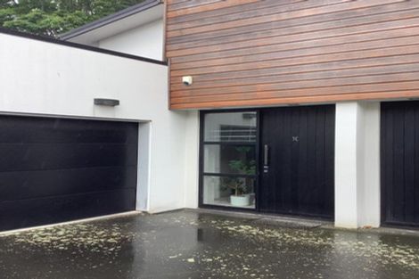 Photo of property in 3b The Oval, Hillmorton, Christchurch, 8024