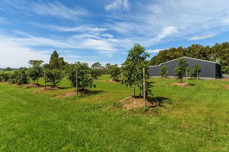 Photo of property in 196 Pahoia Road, Whakamarama, Tauranga, 3172