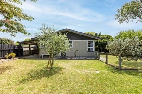 Photo of property in 74a Guppy Road, Greenmeadows, Napier, 4112