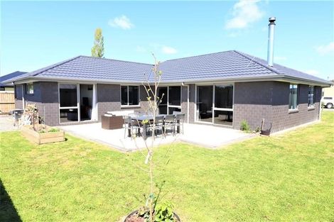 Photo of property in 81 Clausen Avenue, Leeston, 7632