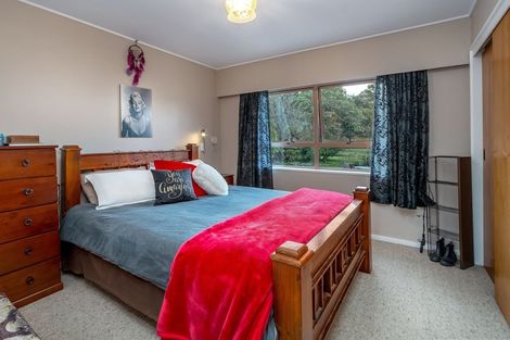 Photo of property in 161 Upper Manaia Road, Upper Plain, Masterton, 5888