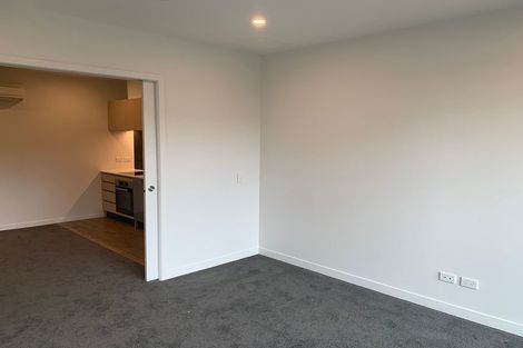Photo of property in 213/428 Dominion Road, Mount Eden, Auckland, 1024