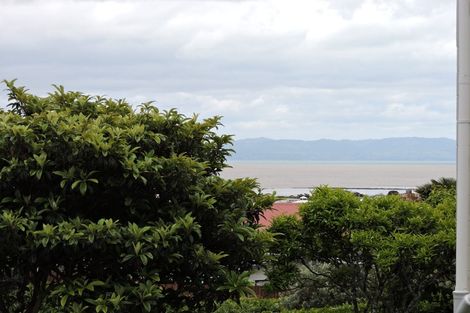 Photo of property in 207a Hill Street, Thames, 3500