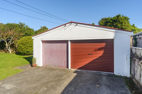 Photo of property in 20 Summerhays Street, Terrace End, Palmerston North, 4410