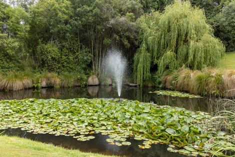 Photo of property in 245 Downs Road, Geraldine Downs, Geraldine, 7991