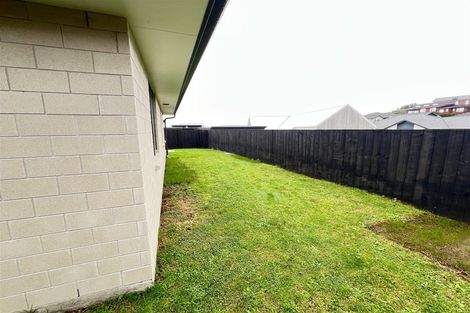 Photo of property in 61 Bert Wall Drive, Omokoroa, 3114