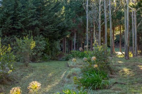 Photo of property in 351 Upper Waingawa Road, Kaituna, Masterton, 5888