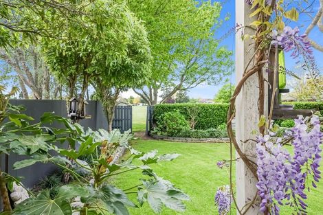 Photo of property in 52 Ashgrove Street, Rangiora, 7400