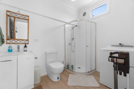 Photo of property in 104 Naylor Street, Hamilton East, Hamilton, 3216