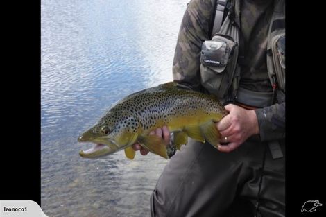 Photo of property in Temple Drive, Twizel, 7901