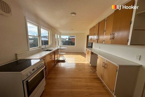 Photo of property in 65 Spencer Street, Andersons Bay, Dunedin, 9013