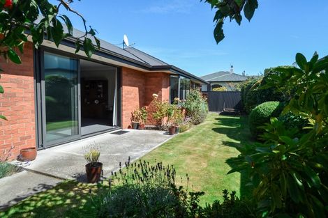 Photo of property in 40 Catherine Street, Windsor, Invercargill, 9810