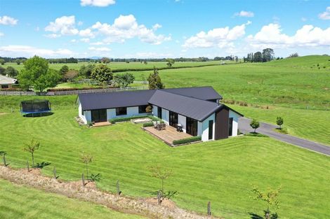 Photo of property in 133 Robson Road, Ngahinapouri, Hamilton, 3290