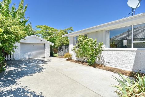 Photo of property in 58 Gardiners Road, Bishopdale, Christchurch, 8051