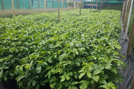 Photo of property in 154a Pioneer Road, Spotswood, New Plymouth, 4310