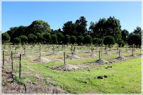 Photo of property in 286 Wall Road, Foxton, 4891