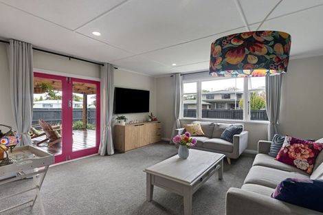 Photo of property in 17 Salisbury Avenue, Terrace End, Palmerston North, 4410