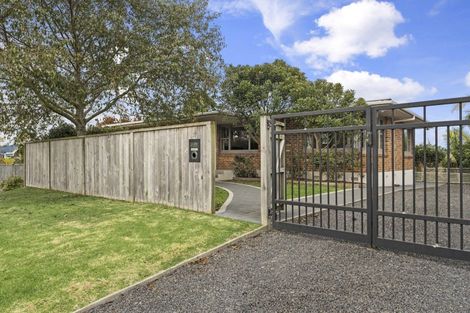 Photo of property in 37 Collingwood Street, Judea, Tauranga, 3110