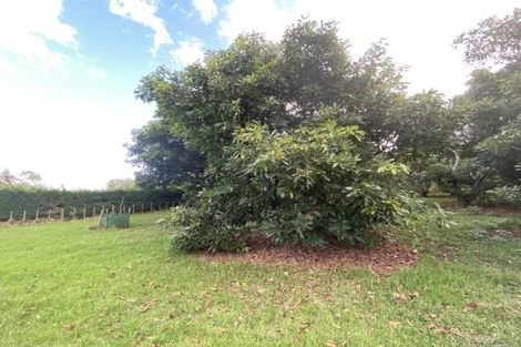 Photo of property in 109a Plummer Road, Whakamarama, Tauranga, 3179