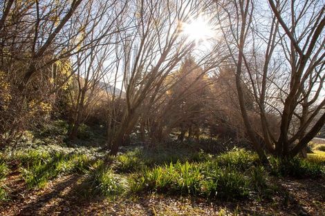 Photo of property in 249 Scotland Street, Roxburgh, 9500