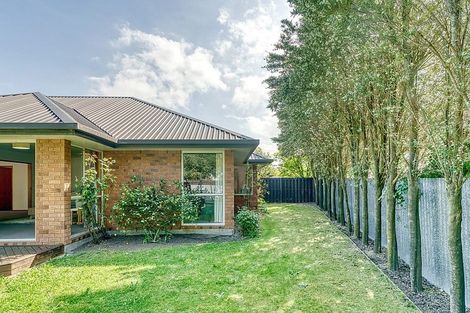 Photo of property in 2/45b Trafford Street, Harewood, Christchurch, 8051