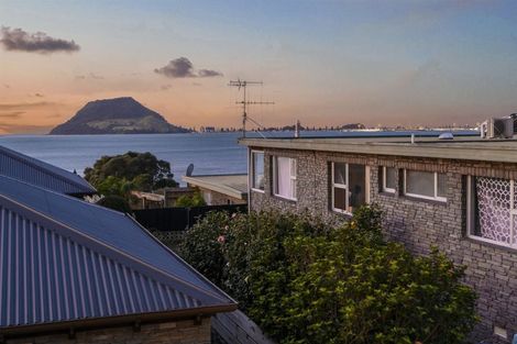 Photo of property in 165a Ngatai Road, Otumoetai, Tauranga, 3110