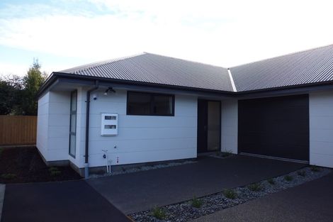 Photo of property in 29d Clarence Street South, Addington, Christchurch, 8024