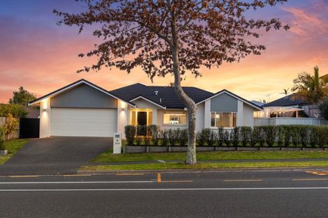 Photo of property in 144 Carmichael Road, Bethlehem, Tauranga, 3110