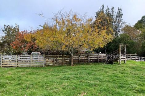 Photo of property in 681 Beechey Street, Pirongia, 3802