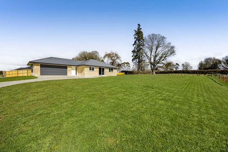 Photo of property in 207c Regan Street, Stratford, 4332