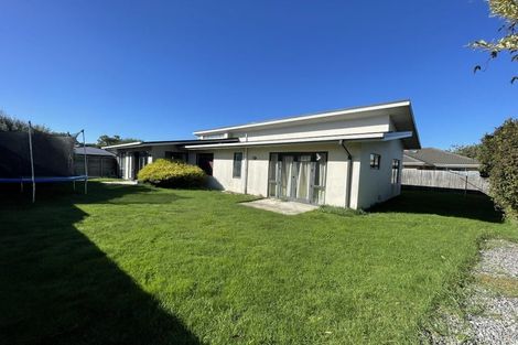 Photo of property in 17 Mosquito Place, Wigram, Christchurch, 8042