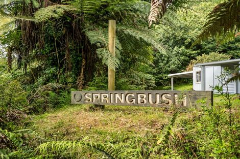 Photo of property in 217 Soldiers Road, Lower Kaimai, Tauranga, 3171