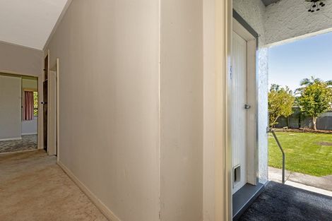 Photo of property in 102 Hall Street, Whataupoko, Gisborne, 4010