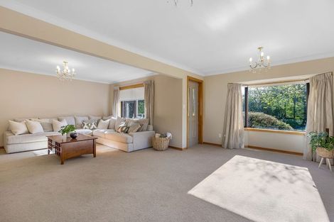 Photo of property in 102 Tricketts Road, West Melton, Christchurch, 7676