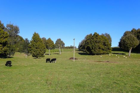 Photo of property in 97 South Road, Mamaku, Rotorua, 3072