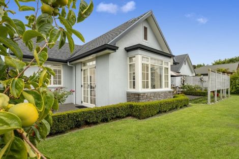 Photo of property in 58 Raukawa Drive, Bethlehem, Tauranga, 3110