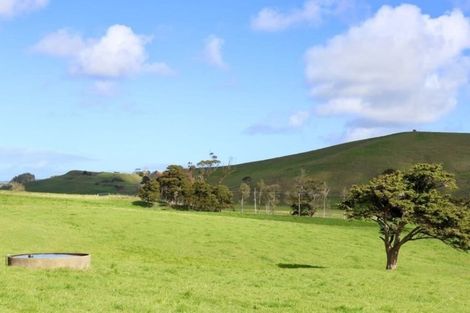 Photo of property in 182 Morrison Road, Arapohue, Dargaville, 0374