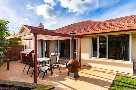 Photo of property in 17 Kendon Street, Witherlea, Blenheim, 7201