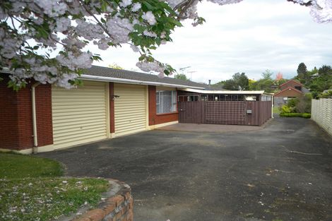 Photo of property in 217 Tui Crescent, Te Awamutu, 3800
