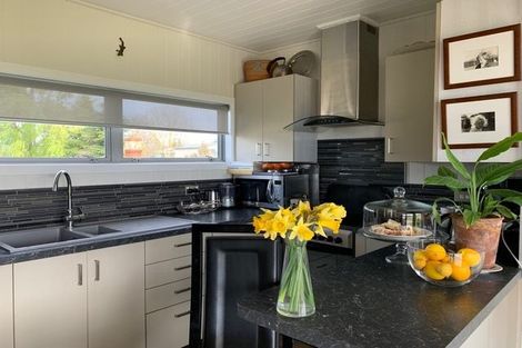 Photo of property in 46 Pattons Road, Mount Somers, 7771