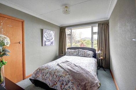 Photo of property in 113 Oakwood Avenue, Balaclava, Dunedin, 9011