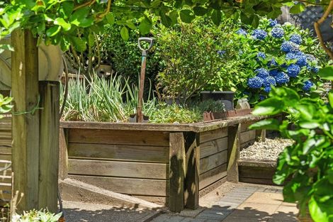 Photo of property in 250 Castlewold Drive, Bethlehem, Tauranga, 3110