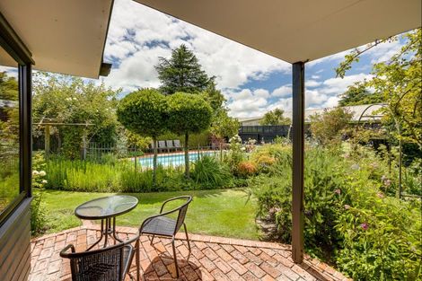 Photo of property in 627 York Street, Mahora, Hastings, 4120