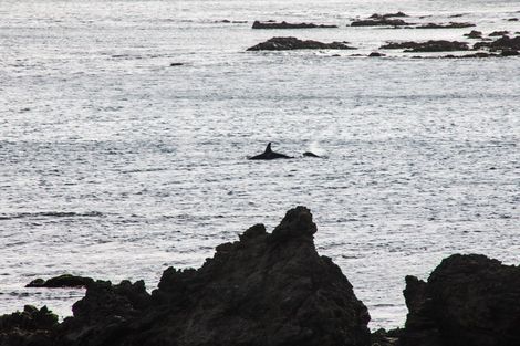 Photo of property in 6 Owhiro Bay Parade, Island Bay, Wellington, 6023