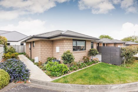 Photo of property in 546/3 Church Street, Terrace End, Palmerston North, 4410