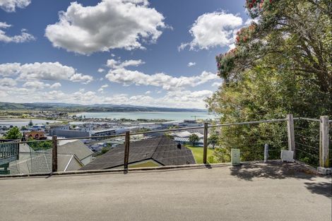 Photo of property in 28 Hospital Terrace, Hospital Hill, Napier, 4110