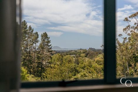 Photo of property in 499 Wainui Road South, Whakamarama, Tauranga, 3180