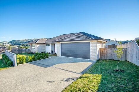 Photo of property in 127 John Burke Drive, Aotea, Porirua, 5024