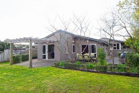 Photo of property in 16 Mcdowall Place, Queenwood, Hamilton, 3210