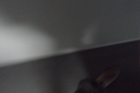 Photo of property in 219a Ohaupo Road, Glenview, Hamilton, 3206